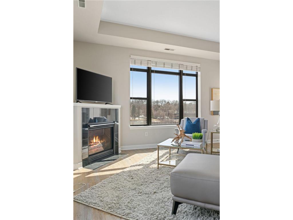 1155 Ford Road #314 Saint Louis Park MN 55426 7063061 image8