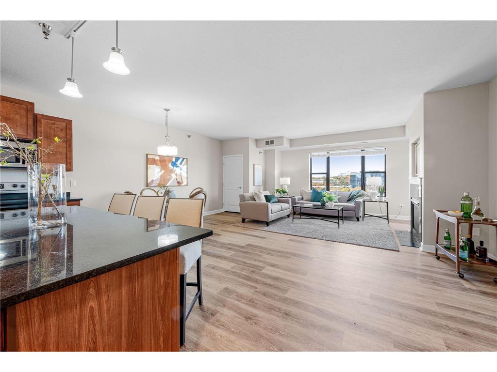 1155 Ford Road #407 Saint Louis Park MN 55426 6360917 image1