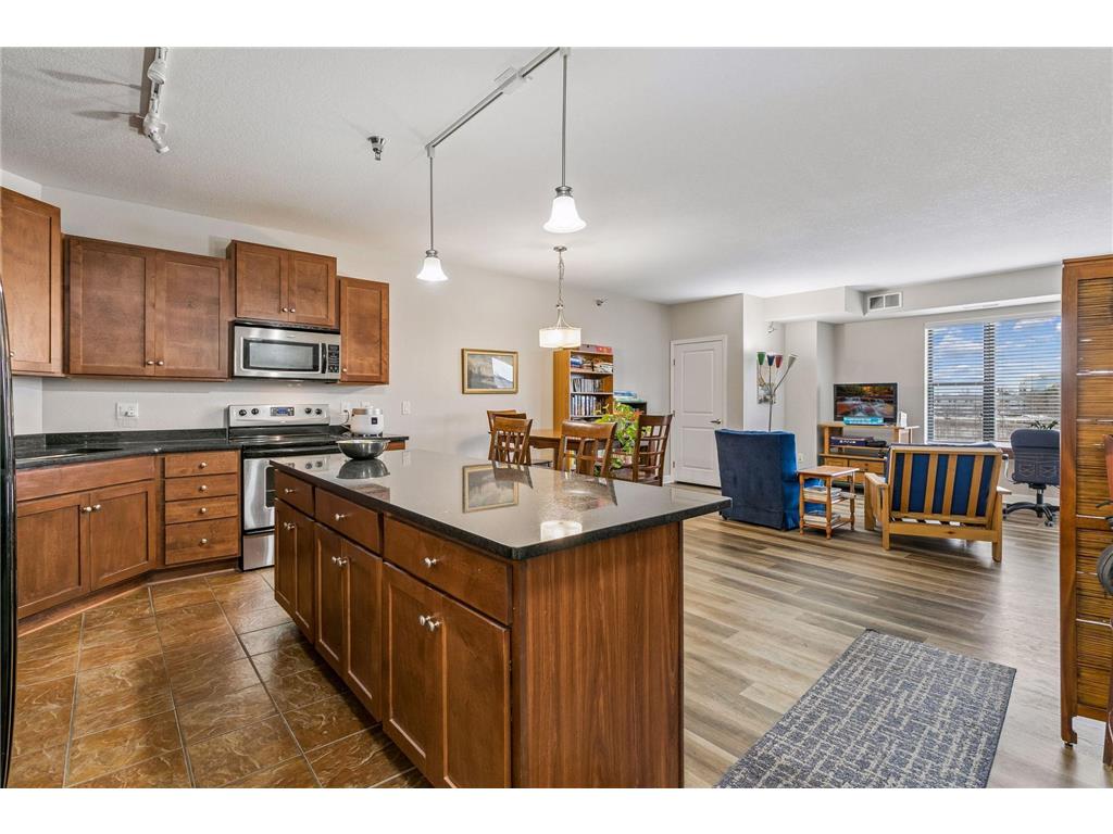 1155 Ford Road #407 Saint Louis Park MN 55426 7052647 image1