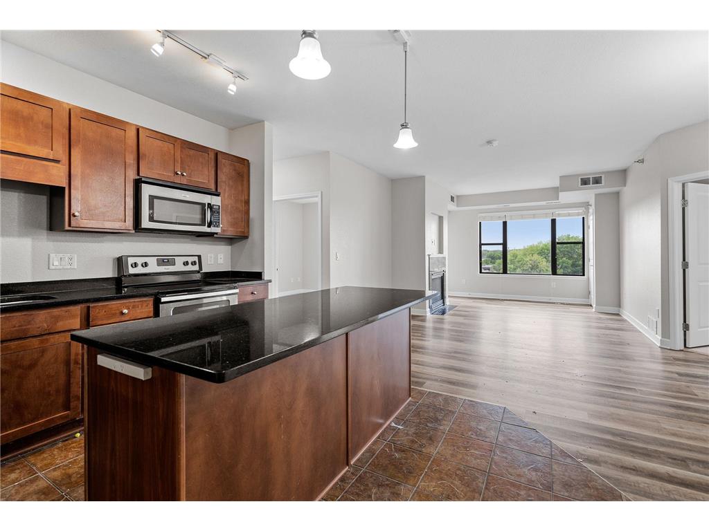 1155 Ford Road #503 Saint Louis Park MN 55426 6401883 image1