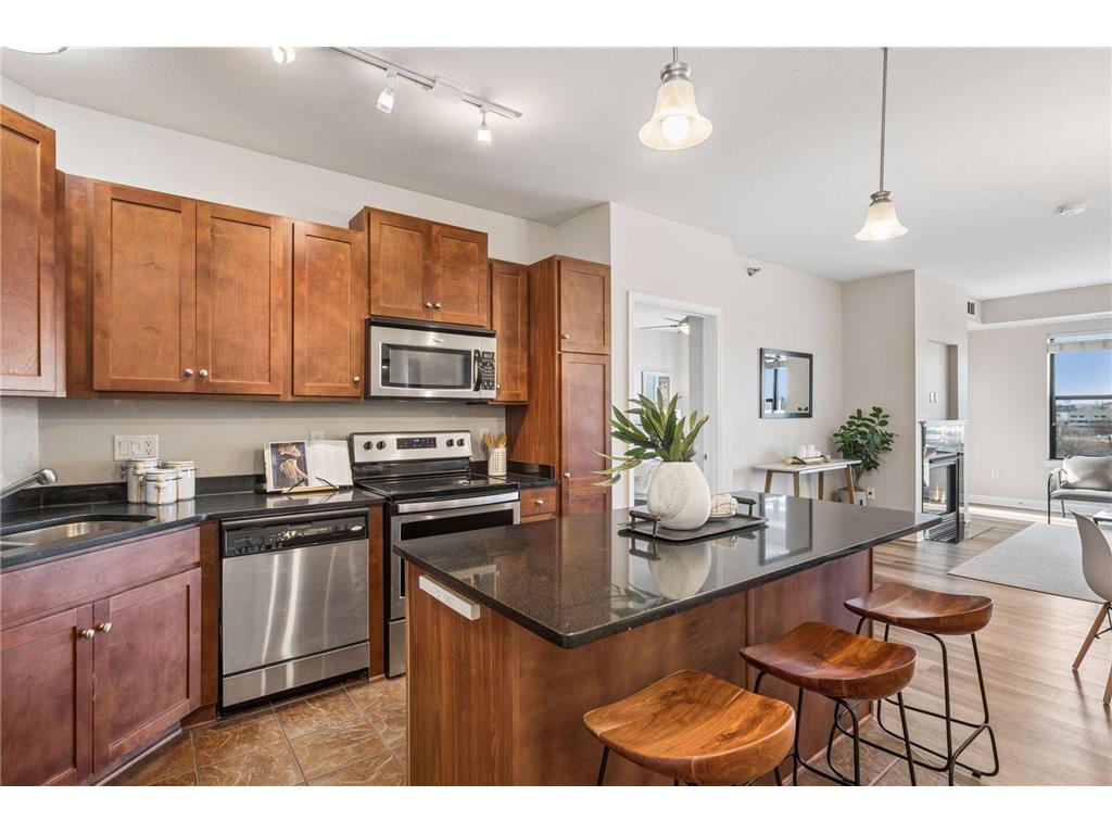 1155 Ford Road #513 Saint Louis Park MN 55426 7026859 image13