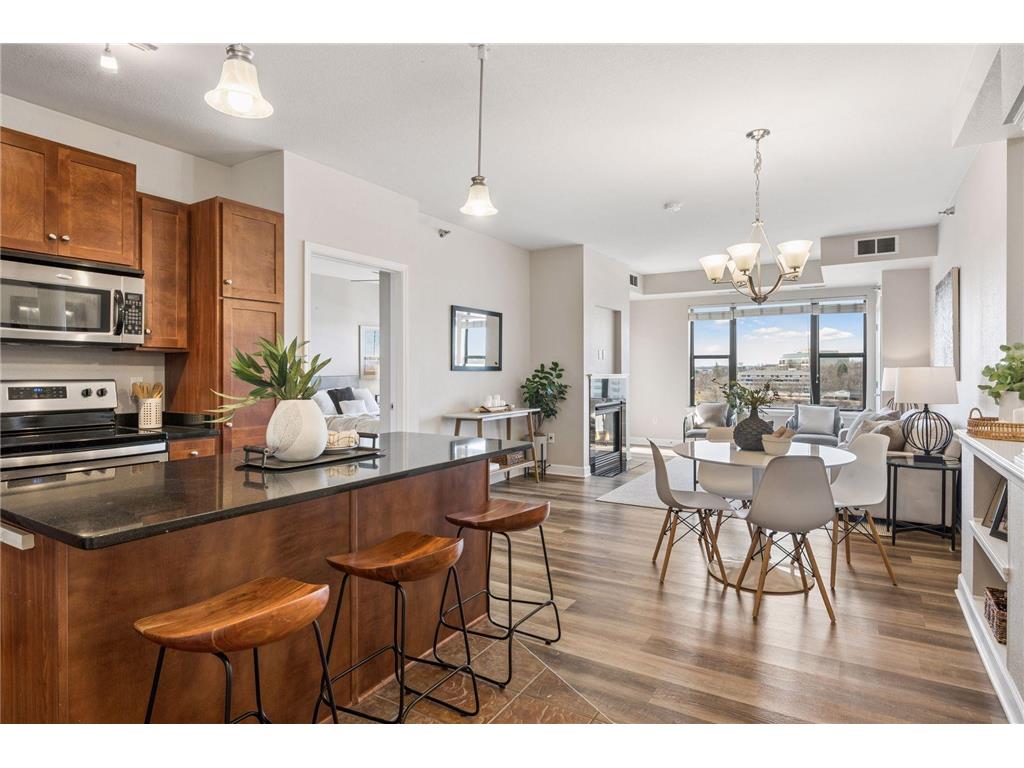 1155 Ford Road #513 Saint Louis Park MN 55426 7026859 image3