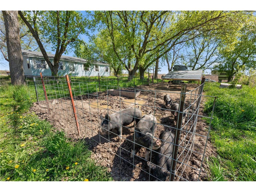 1156 170th Street Garfield Twp WI 54009 7069279 image6