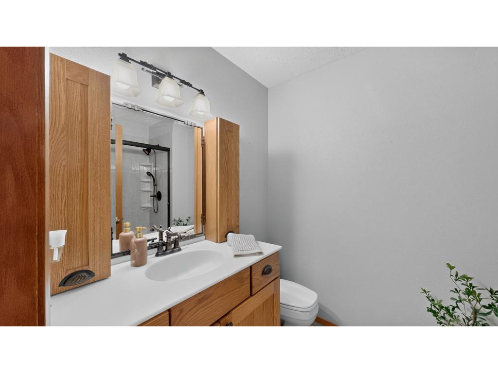 11560 767th Avenue Le Roy Twp MN 55951 7090863 image33