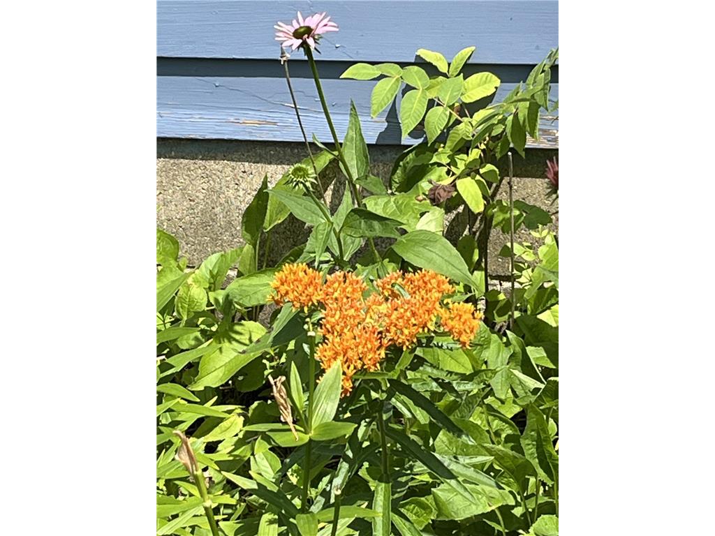 1157 6th Avenue S Windom MN 56101 6753293 image32