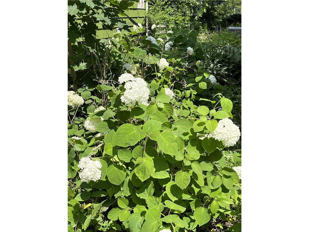 1157 6th Avenue S Windom MN 56101 6753293 image33