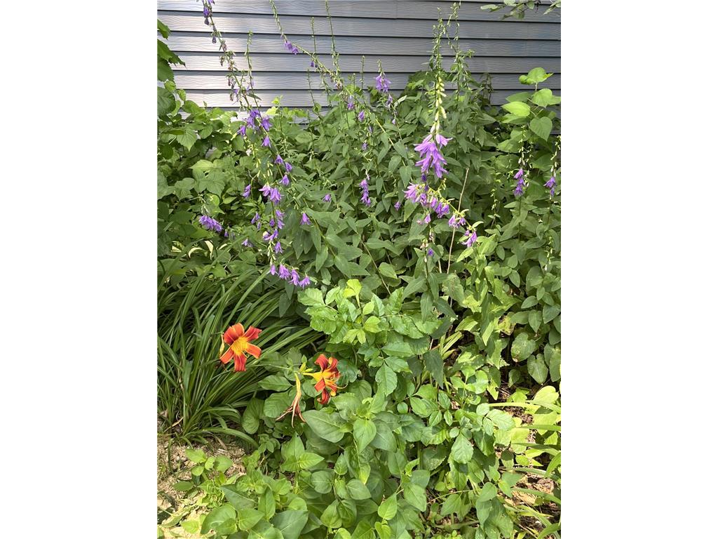 1157 6th Avenue S Windom MN 56101 6753293 image34