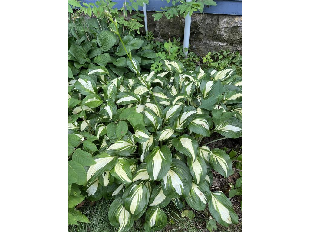 1157 6th Avenue S Windom MN 56101 6753293 image35