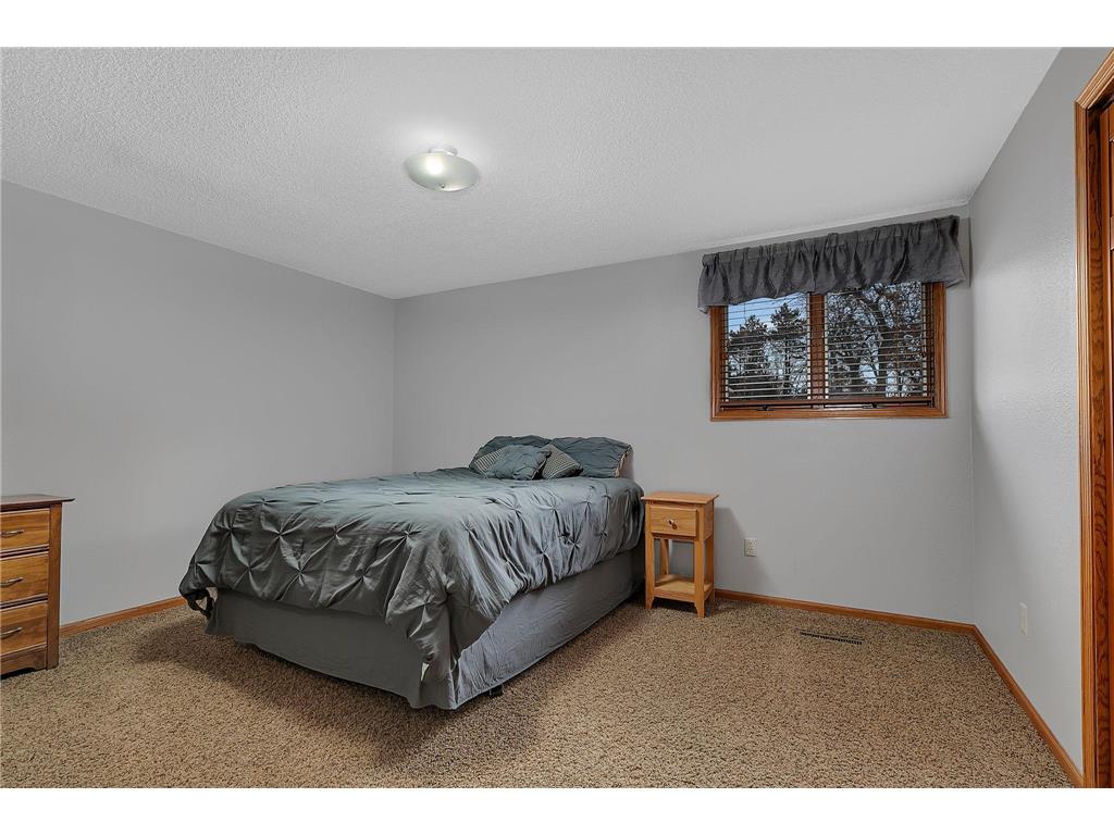 11570 42nd Street SE Clear Lake MN 55319 - Julia Lake 7022528 image32