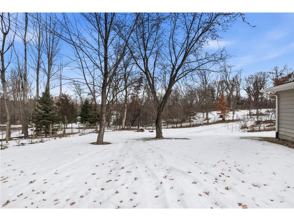 11570 42nd Street SE Clear Lake MN 55319 - Julia Lake 7022528 image49