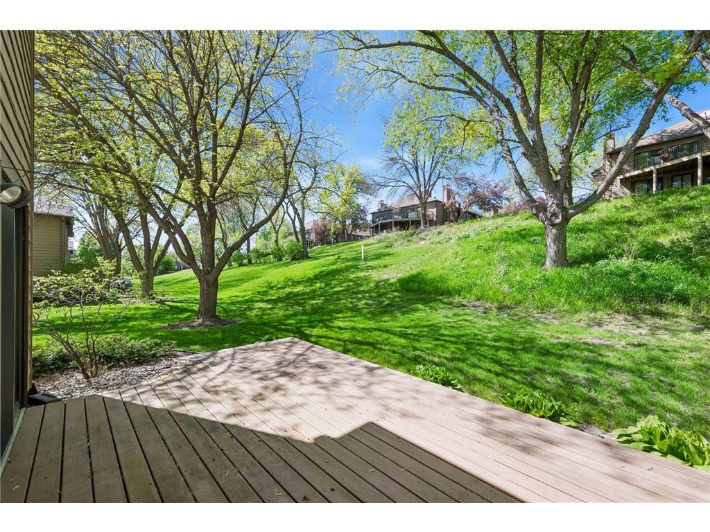 11574 Scotch Pine Court Eden Prairie MN 55344 7048547 image40