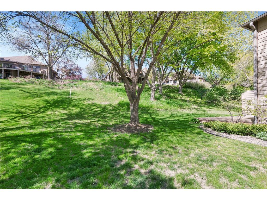11574 Scotch Pine Court Eden Prairie MN 55344 7048547 image41