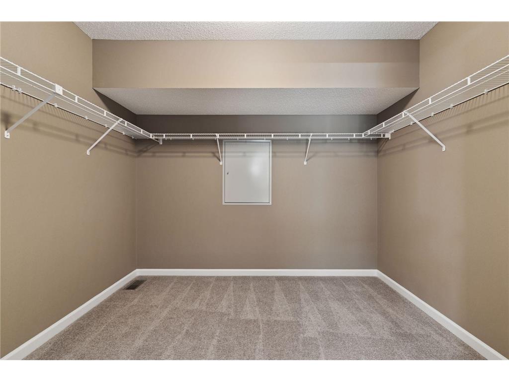 11581 Riverstone Court Woodbury MN 55129 6793351 image42