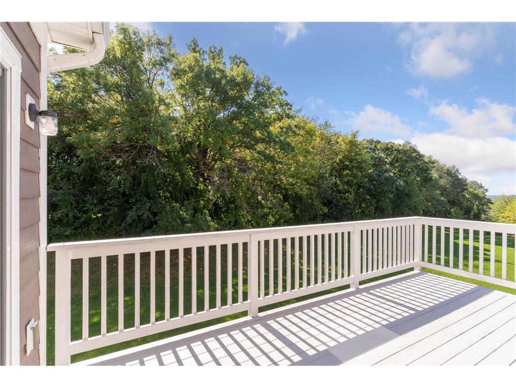 11581 Riverstone Court Woodbury MN 55129 6793351 image62