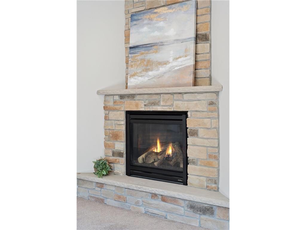 11581 Riverstone Court Woodbury MN 55129 6793351 image9