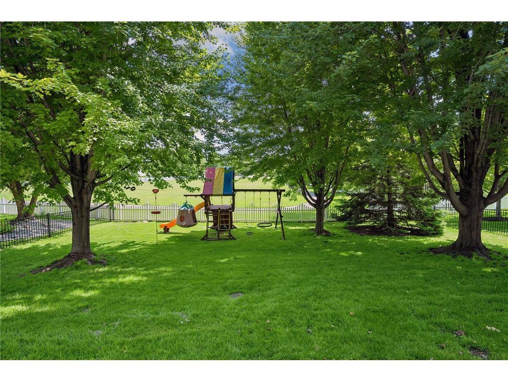 11585 Laketowne View Albertville MN 55301 7085786 image44
