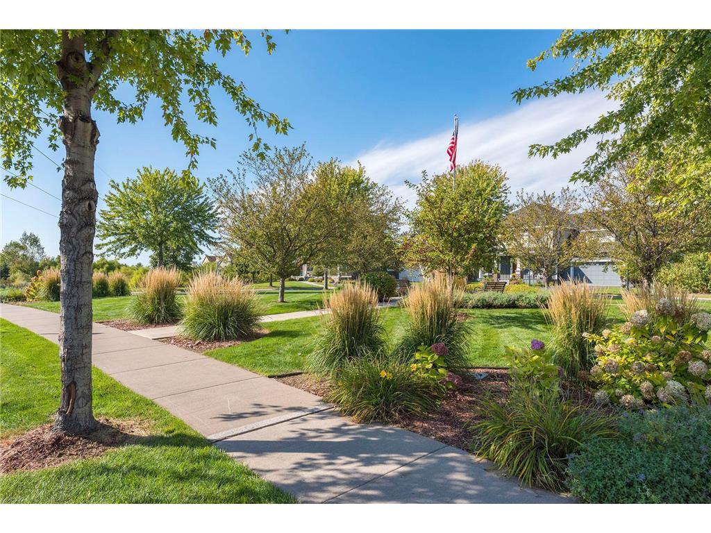 11585 Laketowne View Albertville MN 55301 7085786 image52
