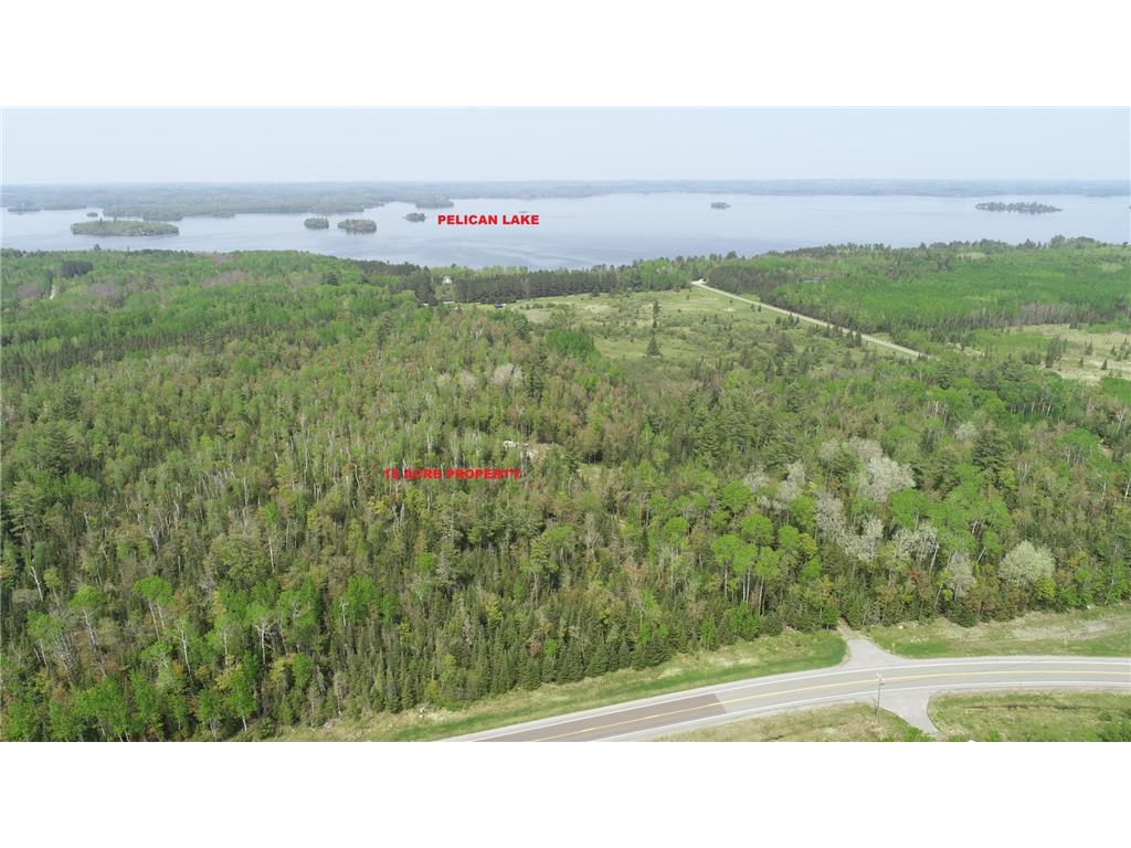 11587 Nett Lake Road, Orr, MN, 55771 MLS 6376076 Edina Realty