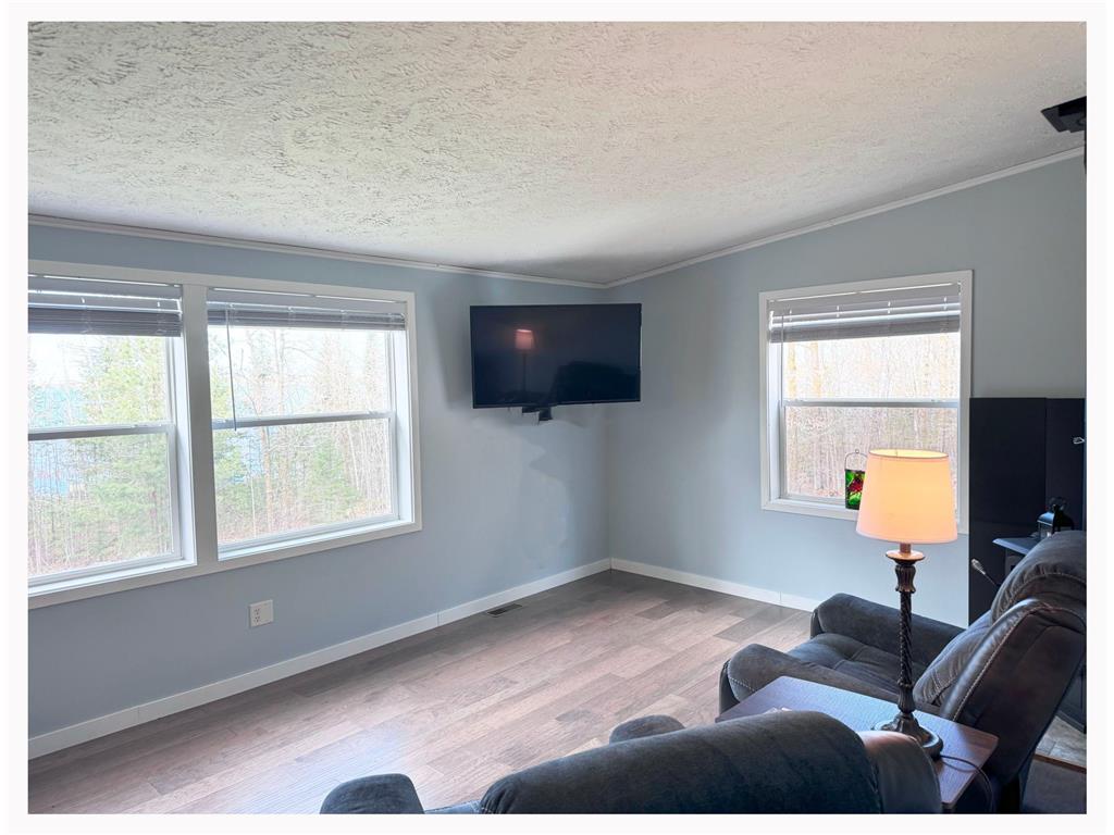 1159 S Gull Lake Road SW, Tenstrike, MN, 56683 MLS 6534541 Edina