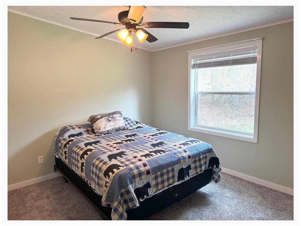 1159 S Gull Lake Road SW, Tenstrike, MN, 56683 MLS 6534541 Edina