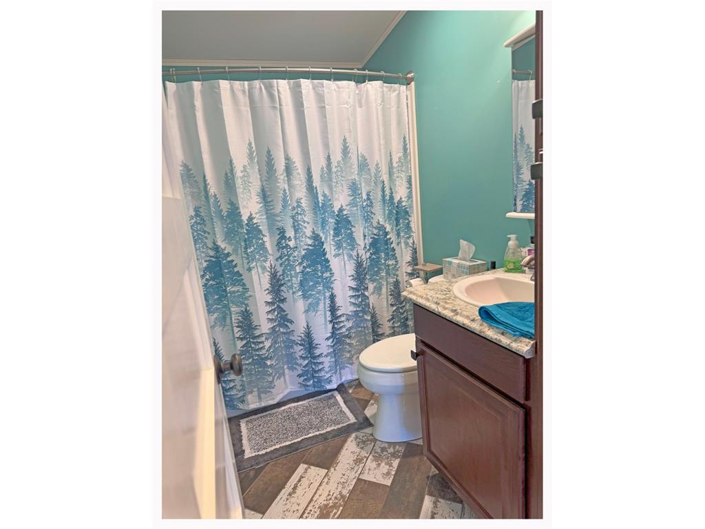 1159 S Gull Lake Road SW, Tenstrike, MN, 56683 MLS 6534541 Edina