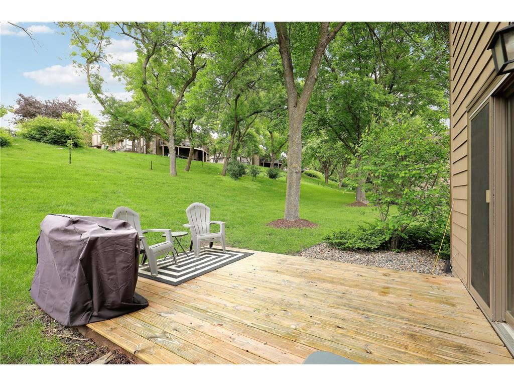 11594 Scotch Pine Court Eden Prairie MN 55344 6727184 image3