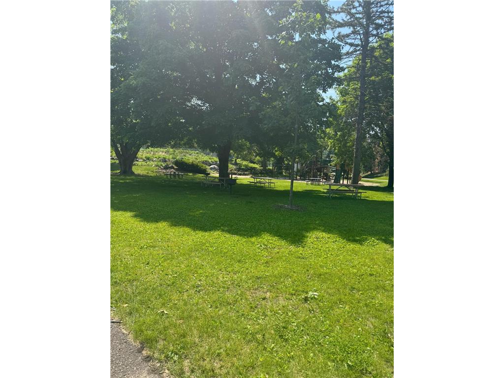 11594 Scotch Pine Court Eden Prairie MN 55344 6727184 image43