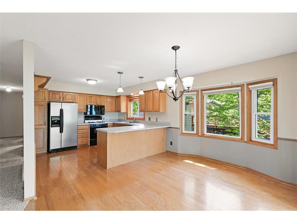 116 Douglas Drive Buffalo MN 55313 - Pulaski 7079066 image17