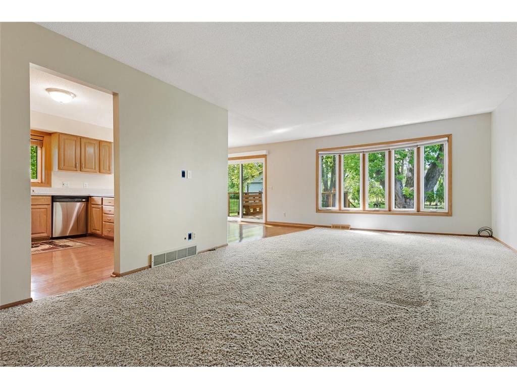 116 Douglas Drive Buffalo MN 55313 - Pulaski 7079066 image22