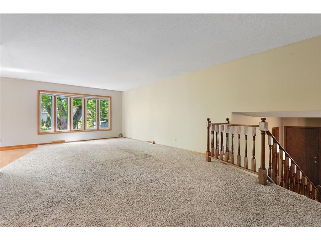 116 Douglas Drive Buffalo MN 55313 - Pulaski 7079066 image23