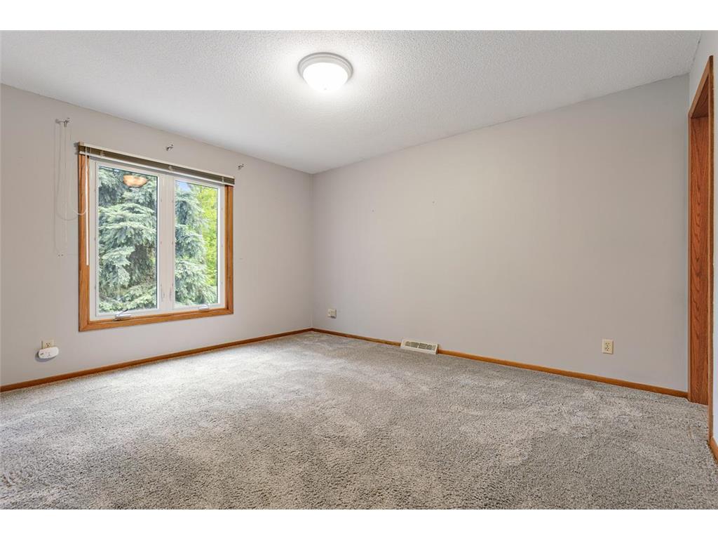 116 Douglas Drive Buffalo MN 55313 - Pulaski 7079066 image26