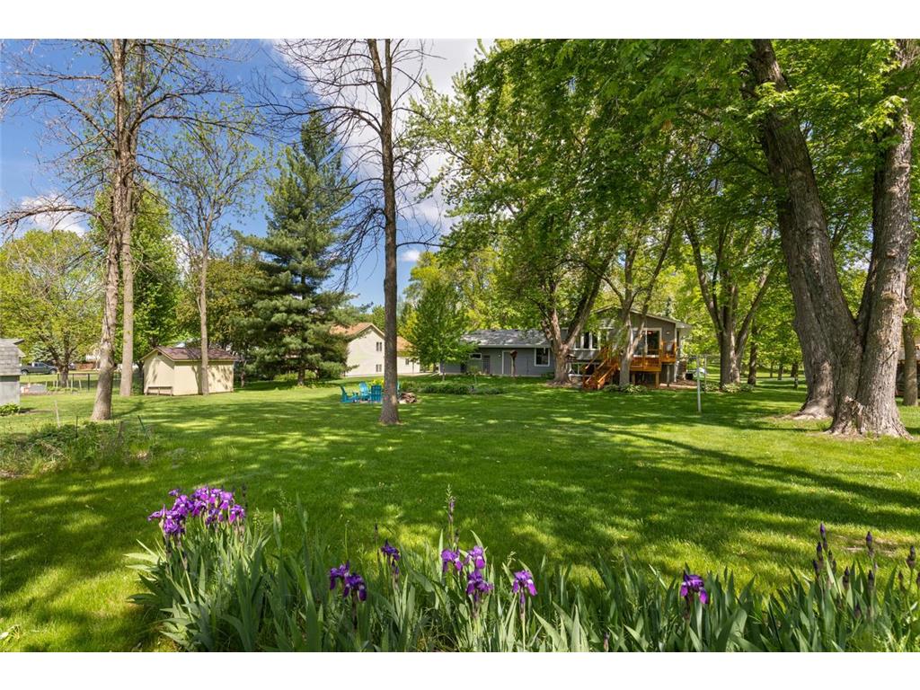 116 Douglas Drive Buffalo MN 55313 - Pulaski 7079066 image3