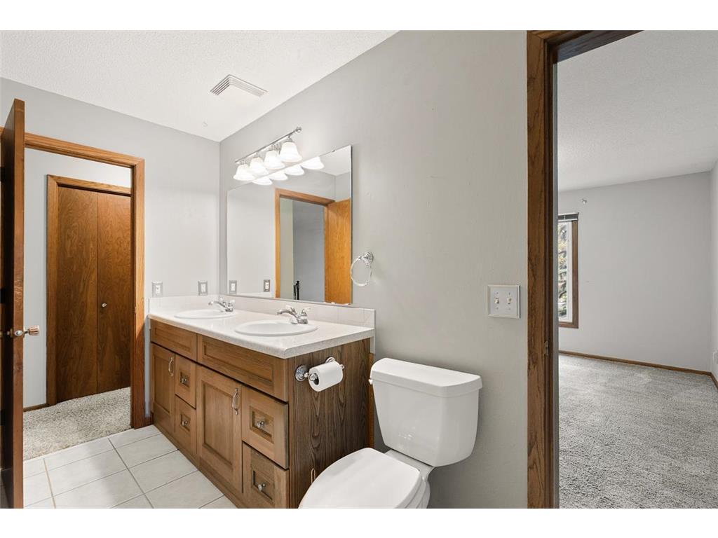 116 Douglas Drive Buffalo MN 55313 - Pulaski 7079066 image30