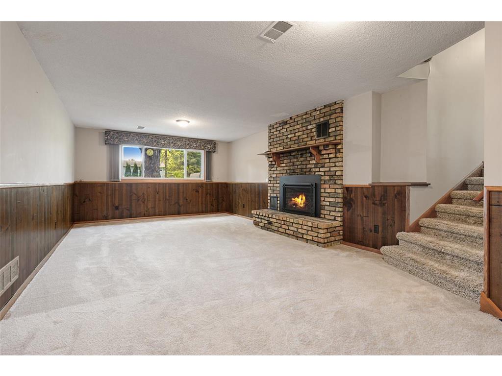 116 Douglas Drive Buffalo MN 55313 - Pulaski 7079066 image38