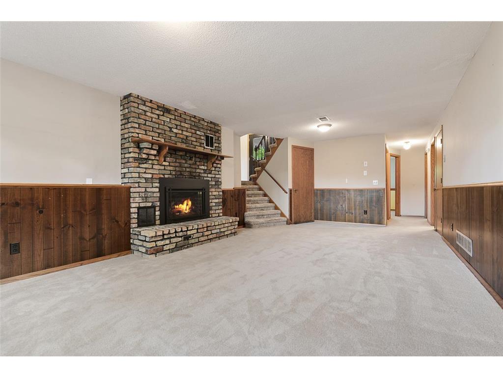116 Douglas Drive Buffalo MN 55313 - Pulaski 7079066 image39