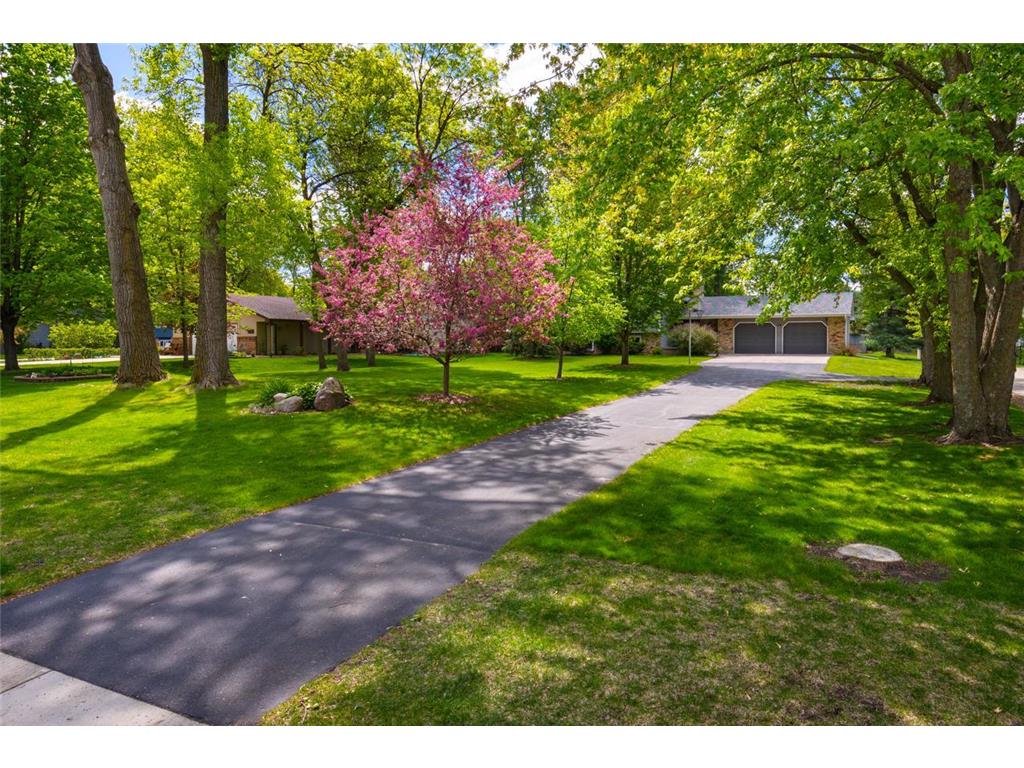 116 Douglas Drive Buffalo MN 55313 - Pulaski 7079066 image4