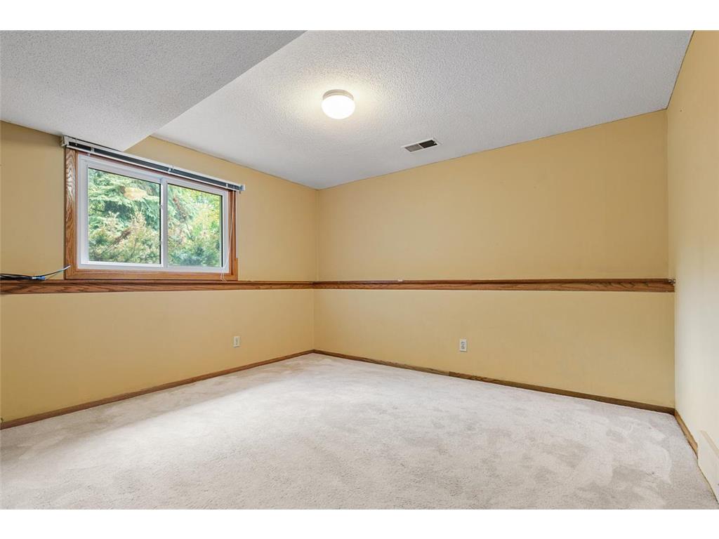 116 Douglas Drive Buffalo MN 55313 - Pulaski 7079066 image42