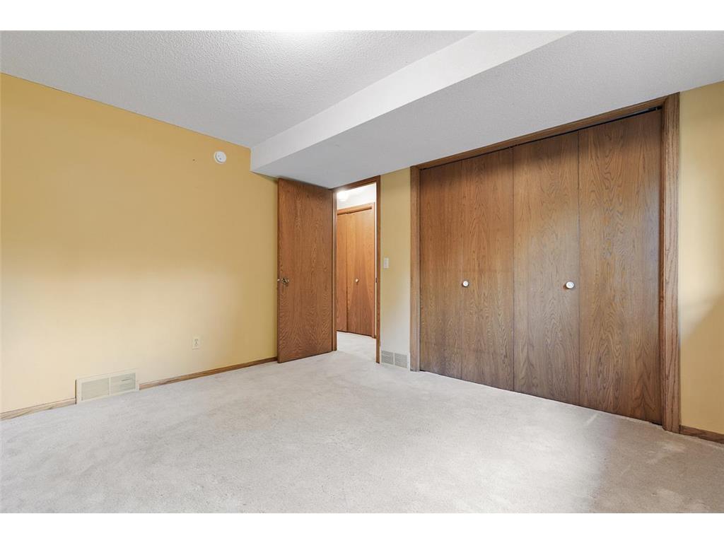 116 Douglas Drive Buffalo MN 55313 - Pulaski 7079066 image43