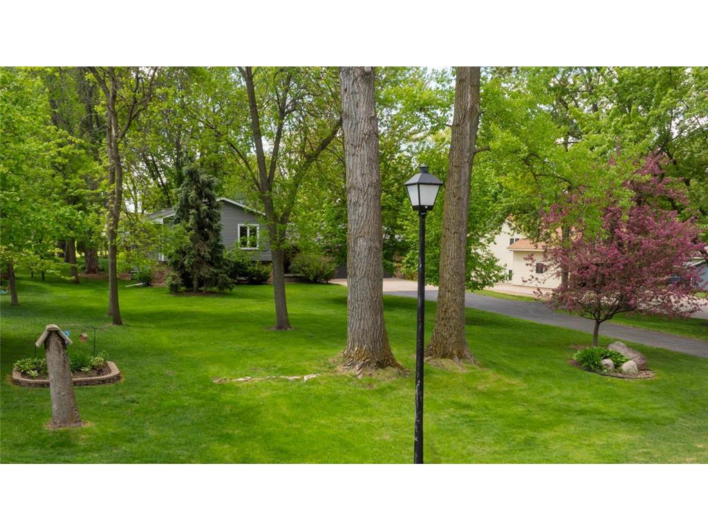 116 Douglas Drive Buffalo MN 55313 - Pulaski 7079066 image49