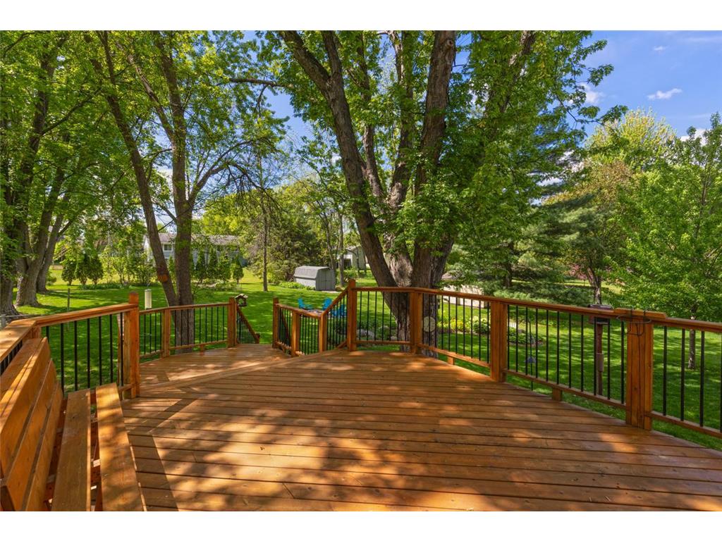 116 Douglas Drive Buffalo MN 55313 - Pulaski 7079066 image7