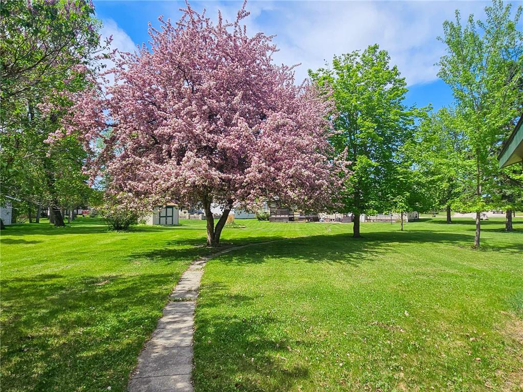 116 Nora Street E Thief River Falls MN 56701 7082517 image34