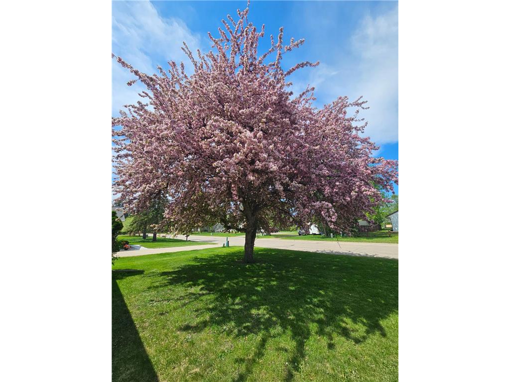 116 Nora Street E Thief River Falls MN 56701 7082517 image35