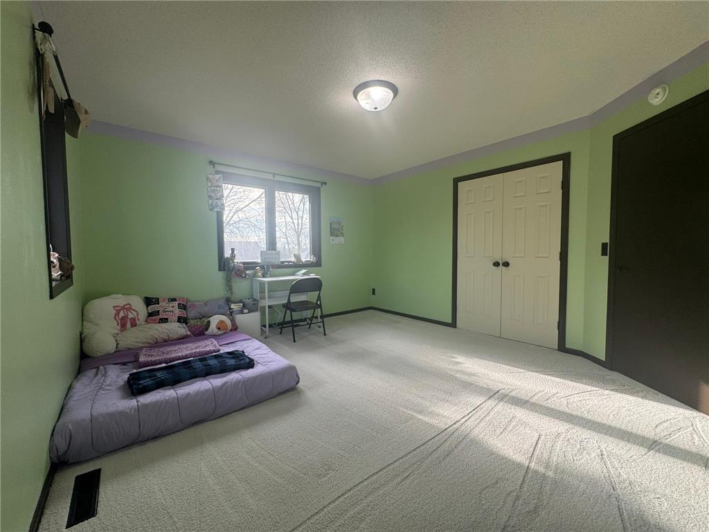 116 Piccadilly Avenue Mankato MN 56001 7057956 image31