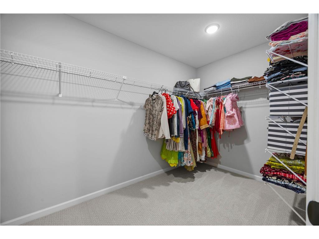 11605 Upland Lane N Dayton MN 55369 7054516 image19