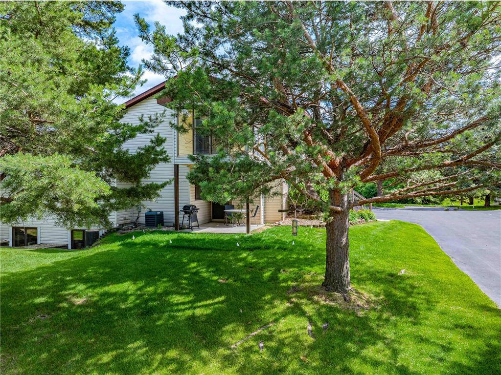 11607 88th Avenue N Maple Grove MN 55369 7099761 image5