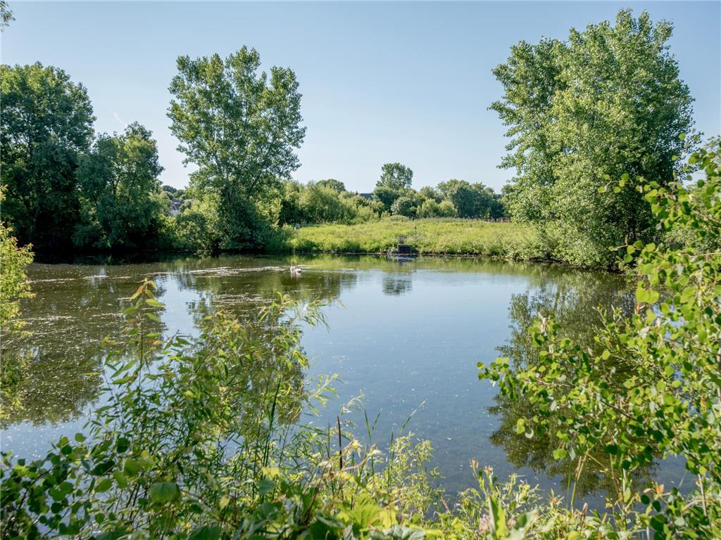 1161 Lakemoor Drive Woodbury MN 55129 7096161 image54