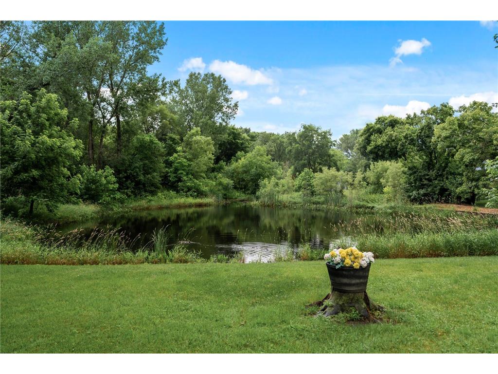11613 Shady Oak Drive Minnetonka MN 55343 6819279 image34