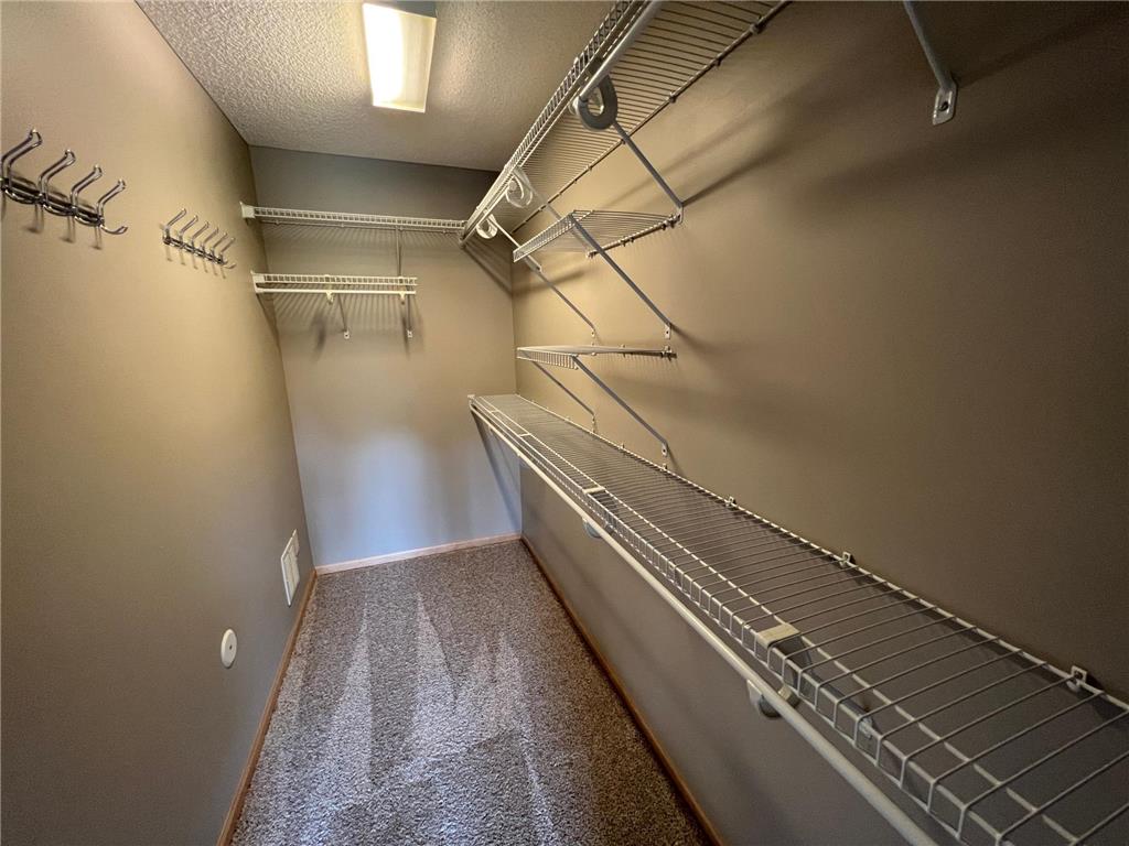 11615 Prospect Curve Woodbury MN 55129 7049903 image10