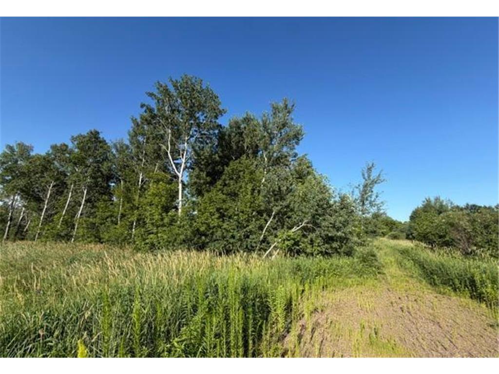 11617 70th Avenue Bogus Brook Twp MN 56353 7096324 image11