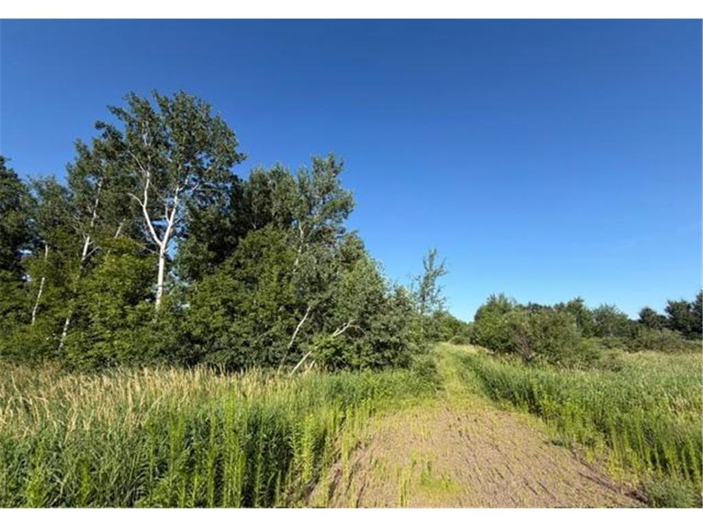 11617 70th Avenue Bogus Brook Twp MN 56353 7096324 image12